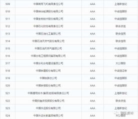 中國AAA主體信用評(píng)級(jí)企業(yè)一覽與企業(yè)信用評(píng)級(jí)服務(wù)解析